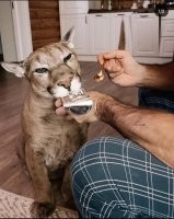 17 интересных снимков со всего мира