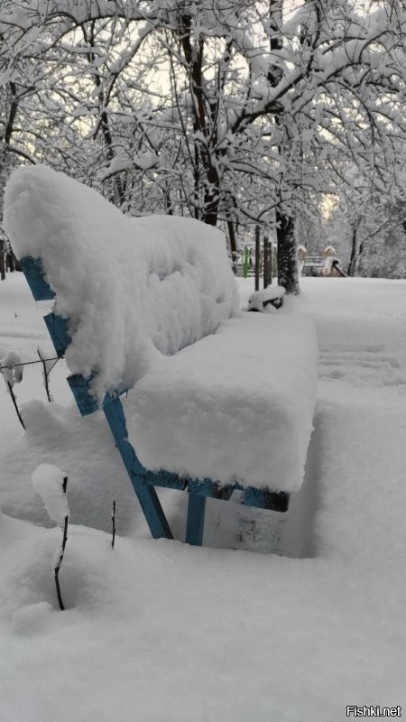 За ночь насыпало...