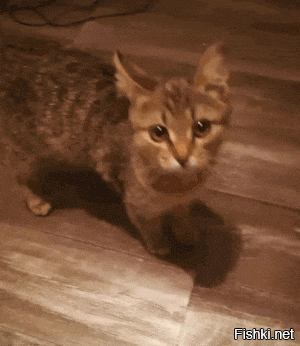 Солянка от 26.12.2021