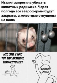 А на фото обыкновенный хорёк, мех которого не ценится, и никак не используется.