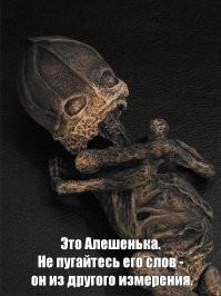 В новый год с новыми законами: неоднозначные нововведения 2022 года