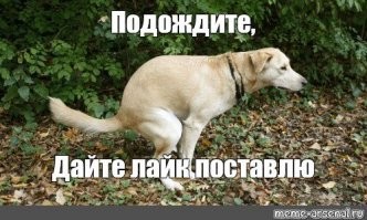 Американские солдаты стали получать питание от робота