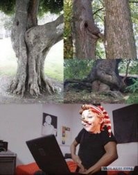 Демотиваторы для прекрасного настроения