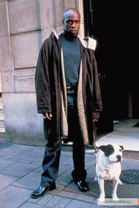 Обделили: пёс расстроился из-за новой игрушки ребенка