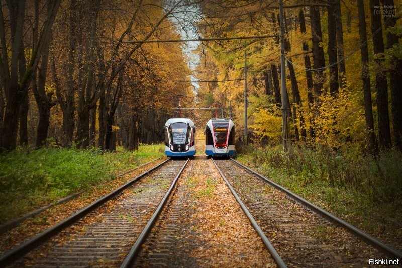 Солянка от 26.12.2021