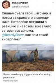 У свиньи есть свои шагомер))) Нафига он ей?)