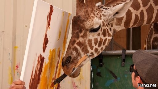 Солянка от 27.12.2021