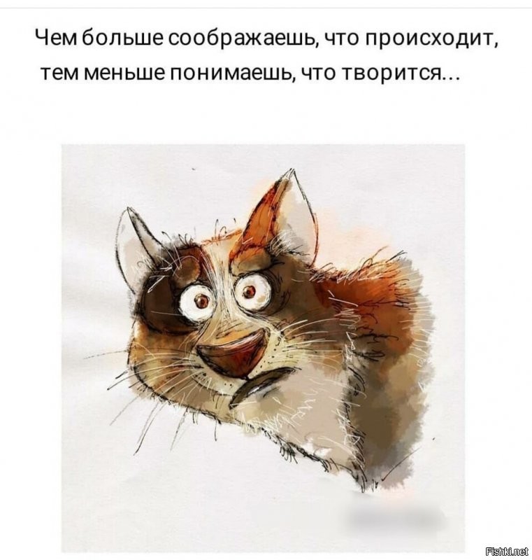 Солянка от 27.12.2021