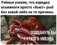 Где-то читал, что то ли осьминоги, то ли кальмары, запоминают рыб, которые "обижали" их в детстве и когда вырастают, бьют рыб, исключительно этого вида.