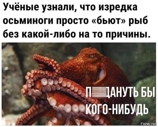 Где-то читал, что то ли осьминоги, то ли кальмары, запоминают рыб, которые "обижали" их в детстве и когда вырастают, бьют рыб, исключительно этого вида.