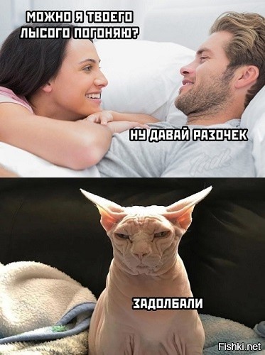 люблю бородатые шутки
проверенные временем