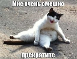 Пляж с доставкой на дом