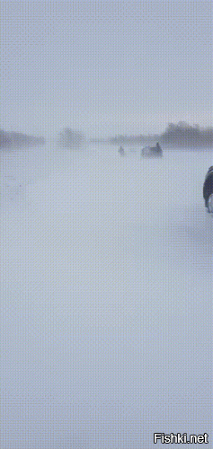 Если до дому доберёшься.