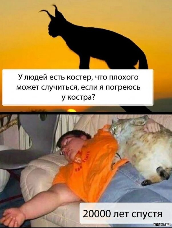 Тут про кошек, но теория в том-же русле :)