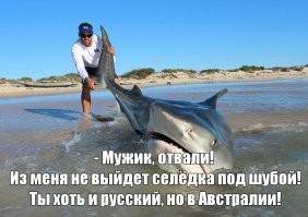 Тем временем в Австралии летом...   Current Location:Австралия