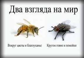 Частенько езжу! Омск и область, а именно ПГК Муромцево, Волгоград, Питер! Что я должен там посмотреть? Что ям на дорогах больше чем в Москве, так это местным чиновникам вопросы надо задавать! Транспортная доступность ещё отличается, но это не изменится со сменой власти. В основном проблем не вижу, такая же жизнь как и в пределах МКАДа. А ещё два раза в год езжу в Ковылкино, это республика Мордовия, там вообще глухая деревня Красная Пресня, из достопримечательностей только речка Мокша, в которой я с большим удовольствием купаюсь и которую сейчас активно чистят от коряг и прочего мусора, а ещё там построили трассу, которая даст фору некоторым московским, а ещё остановки автобусные стоят и автобусы ходят и магазины работают, ассортимент не московский, но жаловаться не приходилось, и современные детские площадки есть! Каждый раз, когда поднимается вопрос, на тему "Москва - не Россия", и что за МКАДом всё плохо, я вспоминаю картинку ниже!