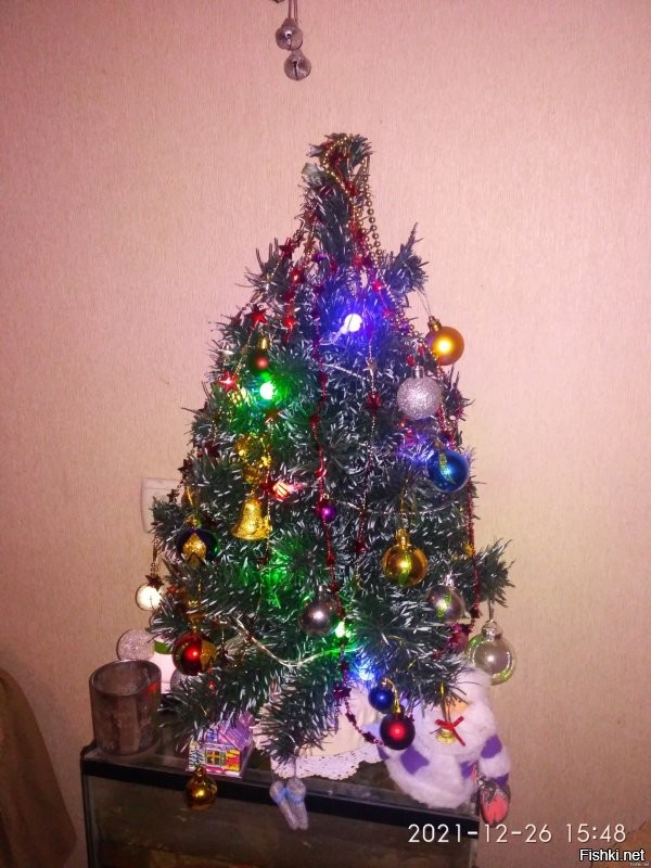 Уже поставили. Маленькую, правда. И гирлянды повесили, и снежинки наклеили.