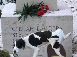 У нищих хохлокастрюлей-ботов всегда пукан рвёт как только про скакуасию новости не те и надо быстро что-нибудь про Россию приплести с картиночками (для своего жалкого оправдания).