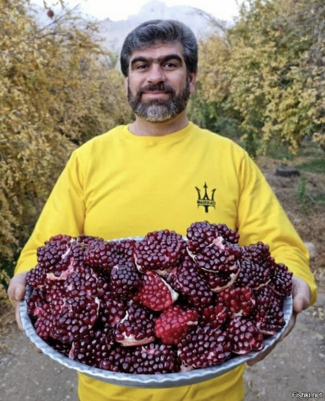 Солянка от 28.12.2021