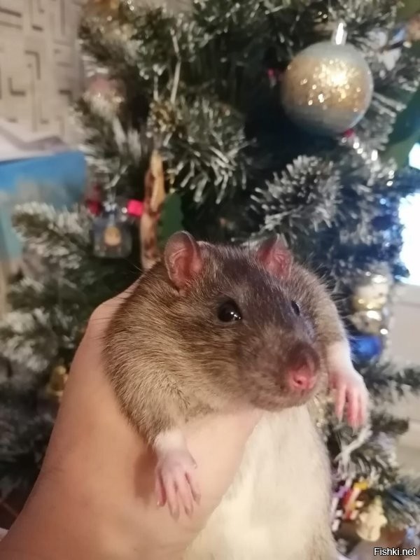 это мы запросто, только скажи