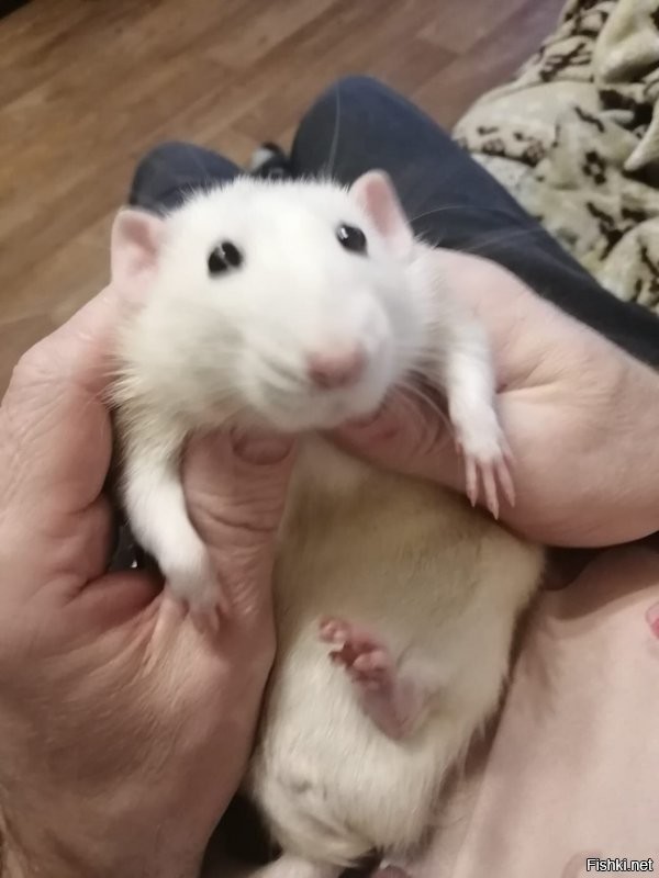 это мы запросто, только скажи