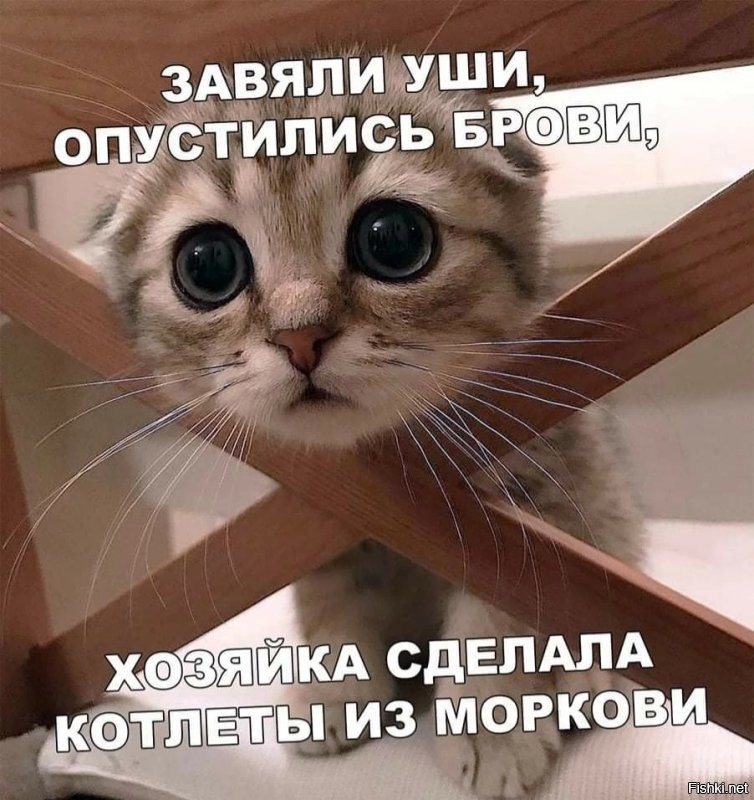 Солянка от 28.12.2021