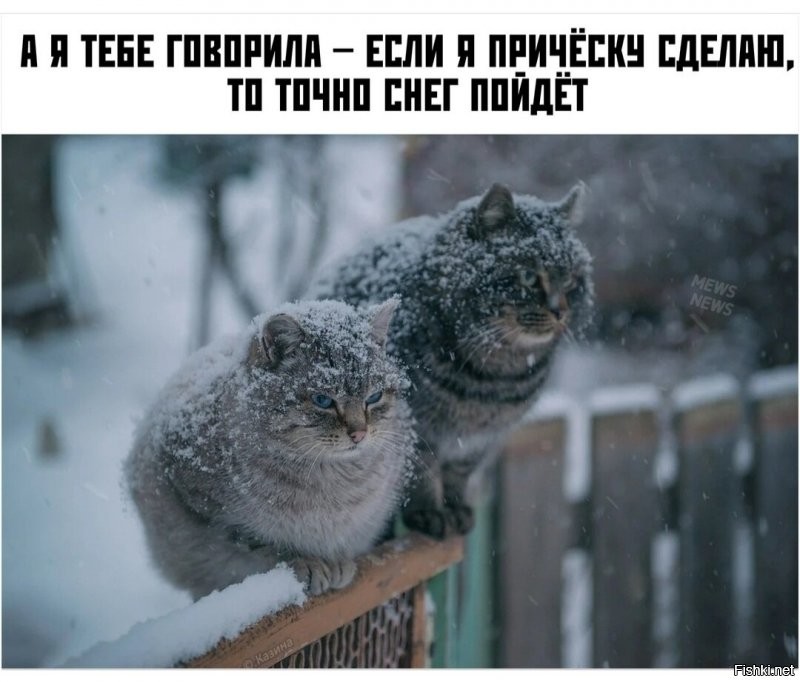 Доброго дня