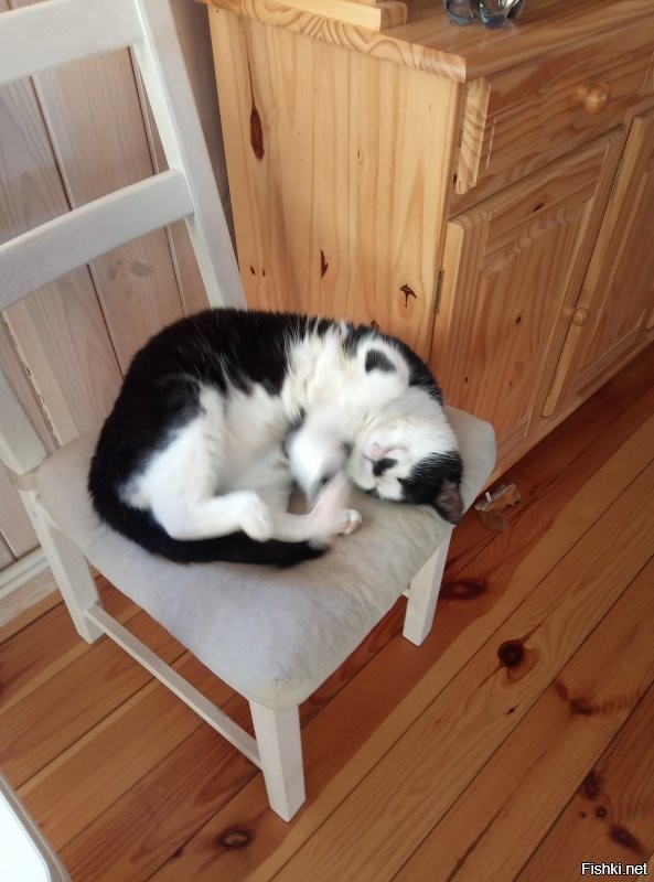 Кто ищет, тот всегда найдёт.