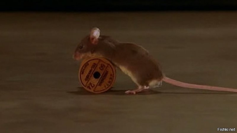 Тогда научи катушку катать