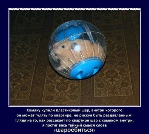 Солянка от 28.12.2021