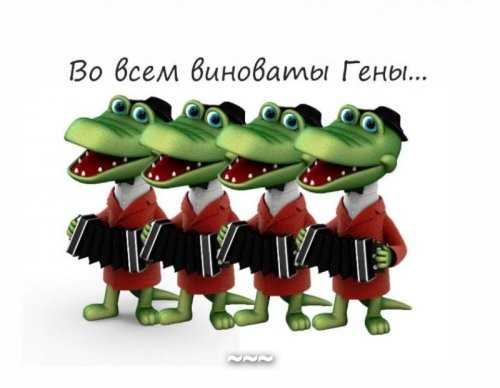 Солянка от 28.12.2021