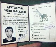 Авария дня. В Сочи водитель «Лады» влетел в группу велосипедисток