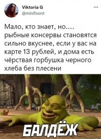 ща на 13 рублей даже дошик не купишь, я уже не говорю про рыбные консервы