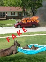 Найди отличия....