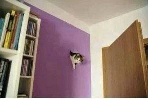 Застрял в текстурах