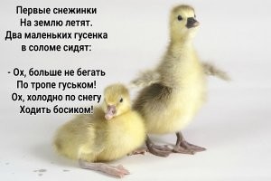 Если кому интересен первый куплет, до слёз доводящий.