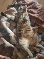 Пойду своего выгоню, может что тоже притащит полезное