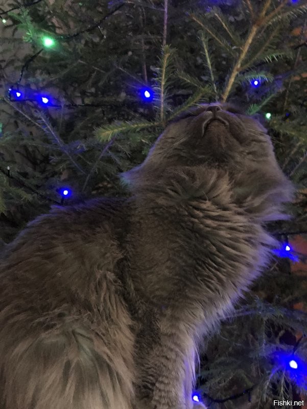 Привет Оксана!