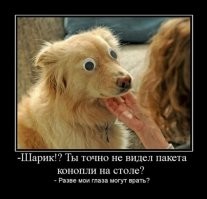 Статуя-оборотень из цельного куска древнего дерева Сикомор