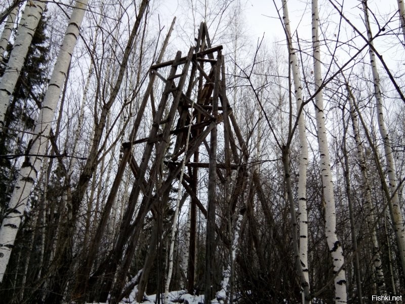 В СССР вышек тоже было понатыкано много.
Вот для примера как они выглядят сейчас через 70 лет. И сами развалились и лес поднялся на вершинах гор.