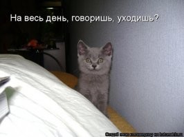 Ежедневный ритуал перед работой