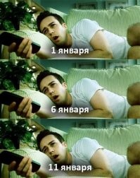 Чем заняться на новогодних праздниках: пользователи соцсетей поделились планами