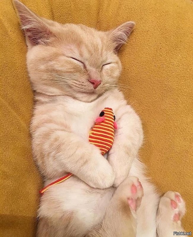 Солянка от 30.12.2021