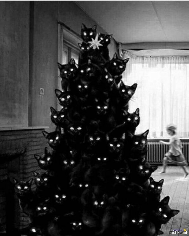 Солянка от 30.12.2021