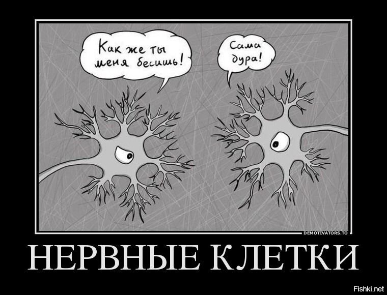 Солянка от 30.12.2021