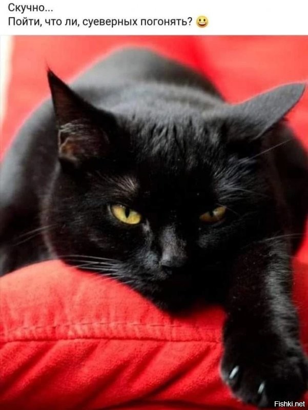 Солянка от 30.12.2021