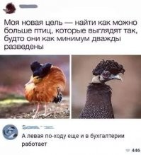 В бухгалтерии?  Бери выше - судья или депутат!