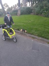 Выгул кошки в Мельбурне
Фото моё