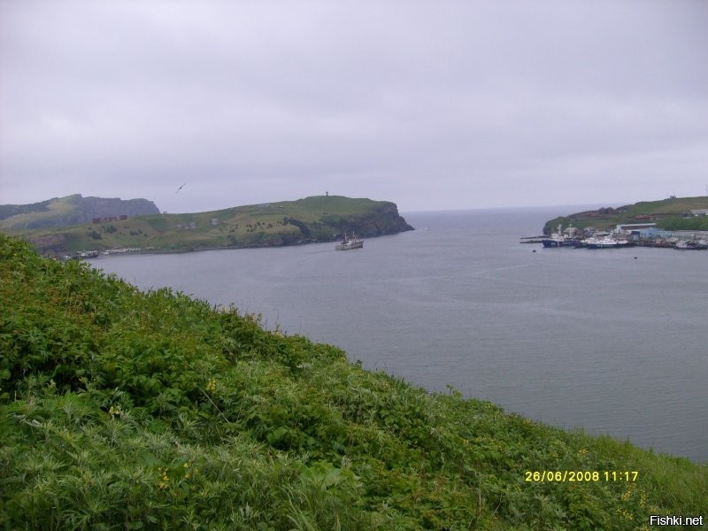 Фото мои. Старые правда...