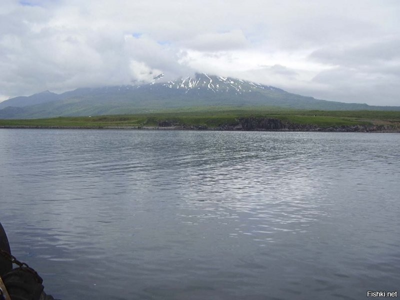 Фото мои. Старые правда...